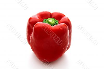 Pepper