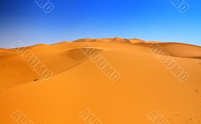 sand dunes and cloudless blue sky