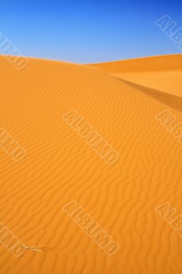 sand dunes and cloudless blue sky