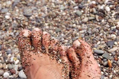 Toes in pebble