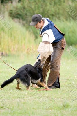 figurant and German shepherd at work