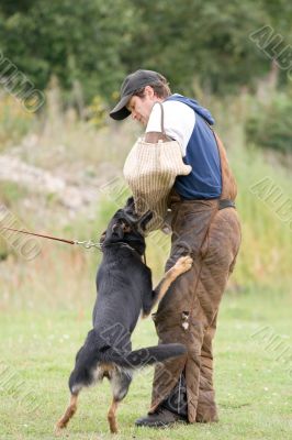 figurant and German shepherd at work