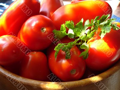 Tomatoes vegetables