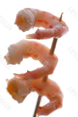 shrimp isolated on white macro