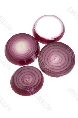 red onion on white close up