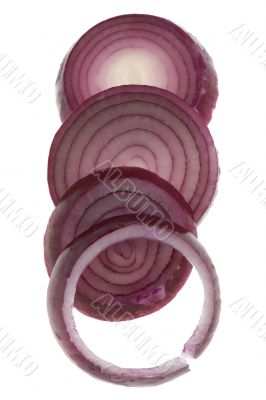 red onion on white closeup