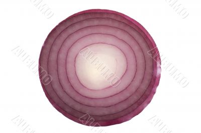 red onion on white macro