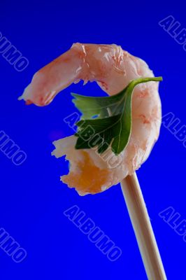 shrimp on blue background