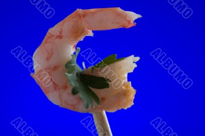 shrimp on blue close up