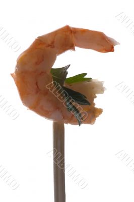 shrimp on white closeup