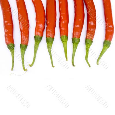 Fresh Ripe Cayenne Peppers