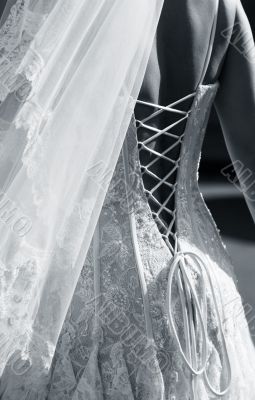 Dress of a bride