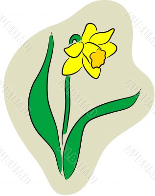 Narcissus logo