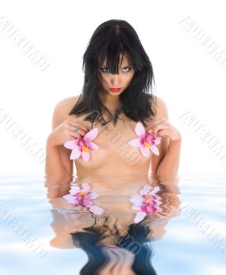 portrait of the brunette with blue eye