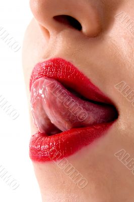 Woman lips