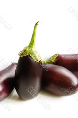 Aubergine isolated