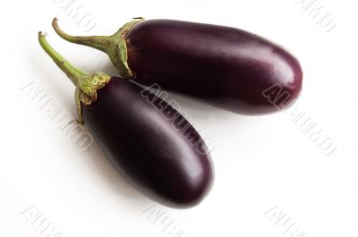 Two aubergines isolated