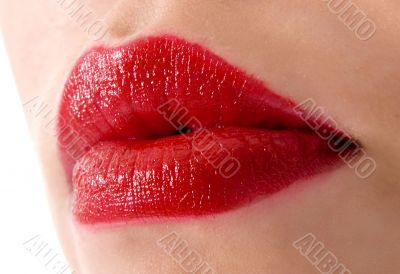 Woman lips