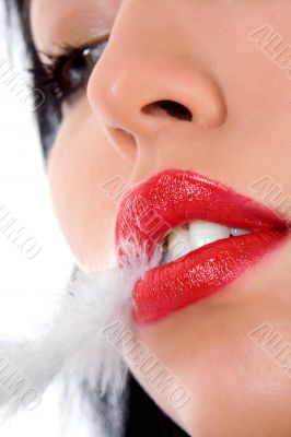 portrait of the brunette with plume