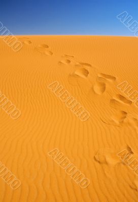 footsteps on sand dunes