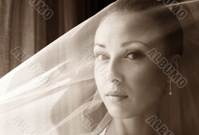 Beautiful bride