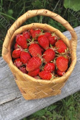 basket of the strawberries