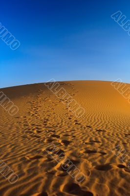 sunset over sand dune