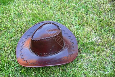 Brown cowboy hat