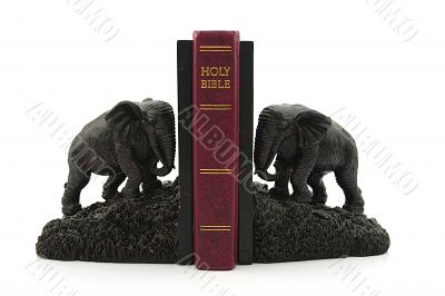 Elephants