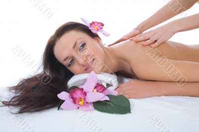 Attractive woman getting spa treatment