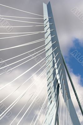 Erasmus Bridge. Pilons