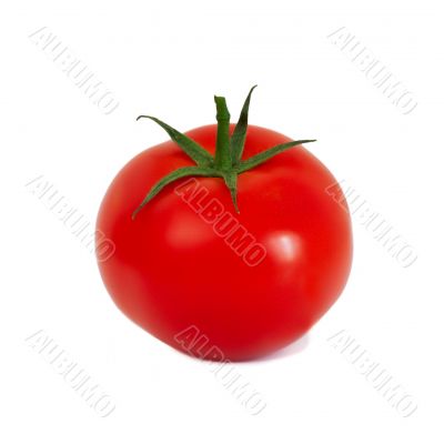 Red tomate on white background