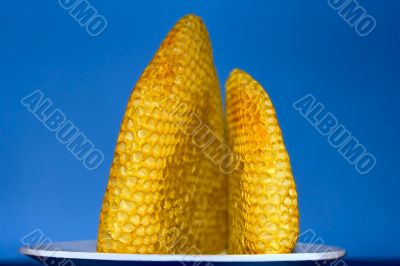 Honeycomb with honey on a plate