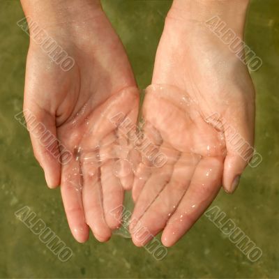 Jellyfish in women's hands
