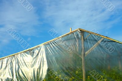 Greenhouse