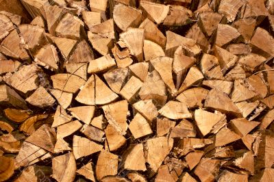 Firewood made in bunch