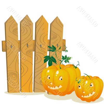 Pumpkins