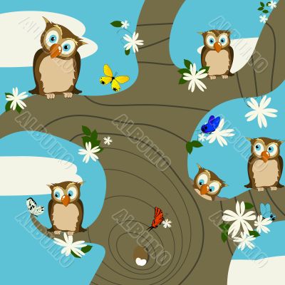 Owls