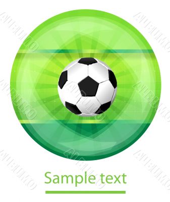 Soccer back