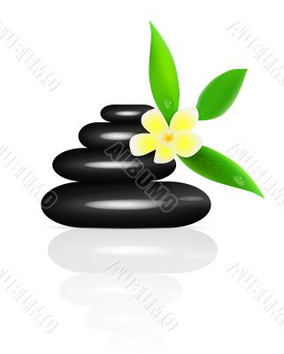 Vector spa stones and frangipani
