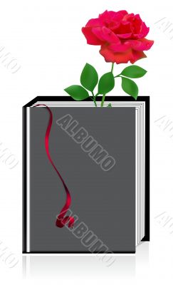 Red rose in the book isolated on white 