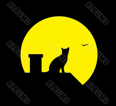 cat at the moon 