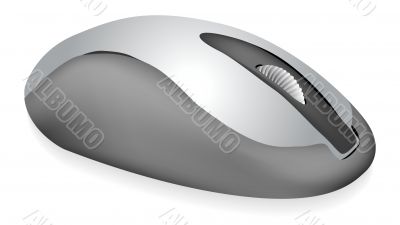 Computer Mouse 