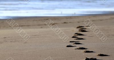 beach footsteps
