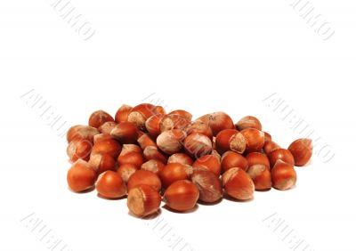 Small group of nuts