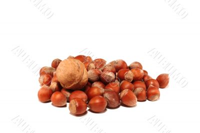 Small group of nuts
