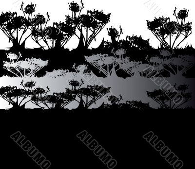 black & white natural background, plant silhouette 