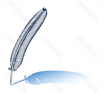  Blue feather - detailed illustration isolated on white