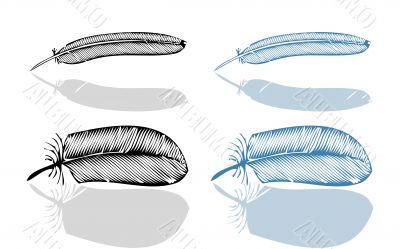 Feather set, vector illustration, fake bird feathers