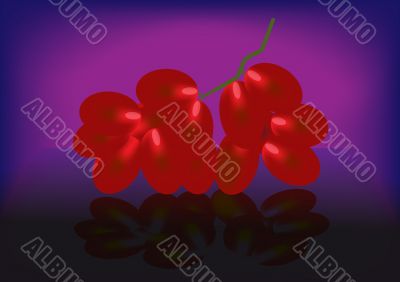  branch ripe juicy grape